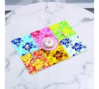 QRFASFZO Set di 6 Tovagliette Americana Plastica Lavabili, antiscivolo, lavabili, in PVC, resistenti al calore,Patchwork floreale tropicale, sei diversi motivi floreali in una serie di sizion,45x30cm