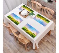 QRFASFZO Set di 6 Tovagliette Americana Plastica Lavabili, antiscivolo, lavabili, in PVC, resistenti al calore,Decorazione della fattoria, arcobaleno nel cielo sopra il campo di grano al tram,45x30cm