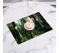QRFASFZO Set di 6 Tovagliette Americana Plastica Lavabili, antiscivolo, lavabili, in PVC, resistenti al calore,Natura, tramonto nella foresta, sole che splende attraverso gli alberi della for,45x30cm