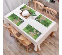 QRFASFZO Set di 6 Tovagliette Americana Plastica Lavabili, antiscivolo, lavabili, in PVC, resistenti al calore,Cervo della foresta verde, un piccolo cervo con macchie bianche, immerso in un l,45x30cm