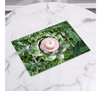 QRFASFZO Set di 6 Tovagliette Americana Plastica Lavabili, antiscivolo, lavabili, in PVC, resistenti al calore,Fotografia di ortaggi in fiore AgricolturaArti,45x30cm