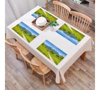 QRFASFZO Set di 6 Tovagliette Americana Plastica Lavabili, antiscivolo, lavabili, in PVC, resistenti al calore,Paesaggio estivo idilliaco nelle Alpi con freschi pascoli di montagna verdi e ci,45x30cm