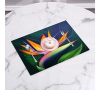 QRFASFZO Set di 6 Tovagliette Americana Plastica Lavabili, antiscivolo, lavabili, in PVC, resistenti al calore,Fiori e uccelli del paradiso, i colori intensi dei fiori del paradiso, degli ucc,45x30cm