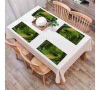 QRFASFZO Set di 6 Tovagliette Americana Plastica Lavabili, antiscivolo, lavabili, in PVC, resistenti al calore,Giungla, sentiero nella foresta Thailandia Parco naturale fresco e calmo escursi,45x30cm