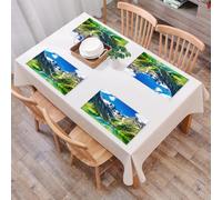 QRFASFZO Set di 6 Tovagliette Americana Plastica Lavabili, antiscivolo, lavabili, in PVC, resistenti al calore,Paesaggio, maestoso lago nei Monti Altai, cime innevate,45x30cm