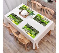 QRFASFZO Set di 6 Tovagliette Americana Plastica Lavabili, antiscivolo, lavabili, in PVC, resistenti al calore,Giardino in stile parco giapponese con vista ricreativa, stagno, pietre d'erba e,45x30cm