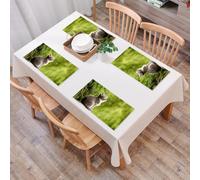 QRFASFZO Set di 6 Tovagliette Americana Plastica Lavabili, antiscivolo, lavabili, in PVC, resistenti al calore,Gatto divertente seduto gattino amante degli animali domestici che guarda il cie,45x30cm