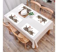 QRFASFZO Set di 6 Tovagliette Americana Plastica Lavabili, antiscivolo, lavabili, in PVC, resistenti al calore,Trio di coniglietti carini e soffici, tre conigli armoniosi, conigli bianchi e g,45x30cm
