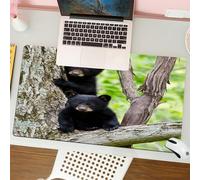 QRFASFZO Tappetino per mouse tappetino da ufficio multifunzione e antiscivolo,per migliorare la precisione e la velocità,Dipartimento degli Interni degli Stati Uniti, Deleware Water Gap, Nat,80x30 cm