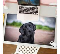 QRFASFZO Tappetino per mouse tappetino da ufficio multifunzione e antiscivolo,per migliorare la precisione e la velocità,Adorabile disegno di cani Labrador Uno sguardo curioso,80x30 cm