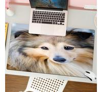 QRFASFZO Tappetino per mouse tappetino da ufficio multifunzione e antiscivolo,per migliorare la precisione e la velocità,Animali, cane da pastore in primo piano, occhi espressivi e pelo soff,80x30 cm