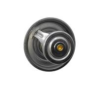 QRPTMBNF Termostato Liquido Compatibile con BMW 5 Series 1990+(92℃)