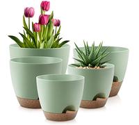 QRRICA Plant Pots 10/9/8/7.5/7 Inch Self Watering Pots, Set of 5 Plastic Planters with Drainage Holes and Saucers,Plastic Flower Pots,Nursery Planting Pot for Indoor Out Door Plants（Green）