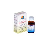 Qsa Eucalipto Gocce Gocce 10 ml Gocce orali
