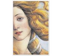 QSDTGHUIKP Poster e stampe di Sandro Botticelli La nascita di Venere Dipinto di Sandro Botticelli Illustrazione murale vintage Immagine per l'arredamento 40x65cmx1 senza cornice