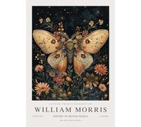 QSDTGHUIKP William Morris Wall Art Animal Butterfly Painting William Morris Floral Canvas Prints Poster di mostra per la decorazione della parete del bagno 16x24in senza cornice