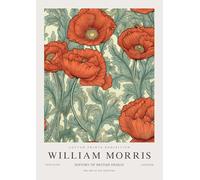 QSDTGHUIKP William Morris Wall Art Fiori di papavero rosso Pittura William Morris Floreale Stampe su tela Poster di mostra per bagno Wall Decor 16x24in senza cornice