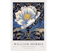 QSDTGHUIKP William Morris Wall Art Peonia bianca pittura William Morris colorato floreale su tela Poster per la decorazione della parete del bagno 16x24in senza cornice
