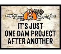 QSFDCLG Targa in metallo con scritta divertente "It's Just One Dam Project After Another", 20,3 x 30,5 cm, decorazione da parete in stile vintage, per bar, club musicali, stanza degli uomini, wje-A01