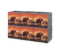 QSKDLAC Contenitori portaoggetti cubici organizer pieghevole in tessuto tramonto elefante armadio organizzatori per armadio ripostiglio