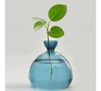 QSLKI Vaso In Vetro Per Albero Di Avocado, Kit Per La Coltivazione Di Alberi Di Avocado, Vaso Per Fiori E Ghiande, Vaso In Vetro Per Casa, Scrivania, Decorazione Per Gli Amanti Del (blu)