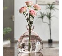 QSLKI Vaso In Vetro Per Albero Di Avocado, Kit Per La Coltivazione Di Alberi Di Avocado, Vaso Per Fiori E Ghiande, Vaso In Vetro Per Casa, Scrivania, Decorazione Per Gli Amanti Del (polvere)