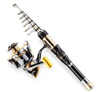 QSTDGVPW Carbon Canna da Pesca Telescopica con Guide per Canne Manico Ergonomico Sedile per Mulinello E Mulinello Regolabile in Fibra di Carbonio Adatta per Pesca Fluviale Camping
