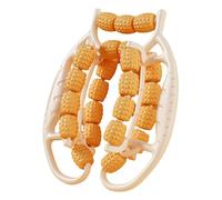 QSTDGVPW Minteccetta a Gamba Circolare, Strumento di Massaggio, Multifunzione Della Luce, Forniture, Rullo Muscolare Sostenuto a Mano, Rullo per, Orangina