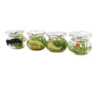 Qsvbeeqj Decorazione di vetro realistica del pesce quadrato/rotondo per la miniatura dell'esposizione per il mestiere della decorazione domestica degli ornamenti