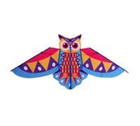 Qsvbeeqj Gufo Kit per Bambini Attività All'aperto Design Colorato Colori Chiari Forte Venti Resistenza Telaio In Fibra Semplice Assemblaggio Pieghevole Giocattolo Da Viaggio Portatile Antivento Gufo