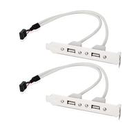 Qsvbeeqj Staffa per pannello posteriore USB 2.0 a 9 pin 2 porte USB 2.0 cavo di prolunga per espansione scheda madre USB per pannello posteriore del computer