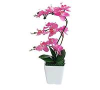 QSYJCCXD 15 "Phalaenopsis Artificiale con Vaso di Porcellana Silk Interno Orchid Fine Piante in pentola Fucini Fiorini Accordi per i centrotavola da Tavolo da Soggiorno