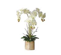 QSYJCCXD Artificiale Orchidea Fiore Finta Seta falaenopsis Bouquet Bianco e Rosa per casa Tavolo da casa Decorazioni per Matrimoni per Feste per casa per la scrivania da Ufficio (Colore)