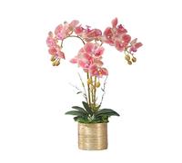QSYJCCXD Artificiale Orchidea Fiore Finta Seta falaenopsis Bouquet Bianco e Rosa per casa Tavolo da casa Decorazioni per Matrimoni per Feste per casa per la scrivania da Ufficio (Colore)