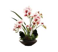 QSYJCCXD Grande Simulazione Orchidea Fiore Set di Fiori di Seta Fiore Finta phalaenopsis Bouquet Fiore Decorazione Floreale per la casa Decorazione da scrivania (Colore: c)