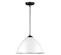 QSYJCCXD Lampada a Ciondolo in Metallo colorato Moderno Lampada sospesa per Negozi a Testa Singola per Il lampadario a soffitto Montato sul soffitto Montato per la Fattoria (2 30 * 18 cm)