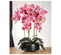 QSYJCCXD Phalaenopsis di Orchidee Artificiali in Piante Artificiali di pentola Vera Fiore Falso Bonsai con Vaso ceramico per Decorazione Interno Decorazione da Soggiorno al centrotavola