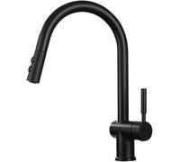 QTANZIQI Ottone con rubinetti Estraibili Verso Il Basso Rubinetto Commerciale Acqua Calda e Fredda Rubinetti per lavello da Cucina monocomando montati sul Ponte, Nero Economico