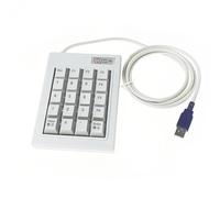 QTAZMJPB 20 tasti PS/2 USB Chiave ESC Wired Meccanica Password Numero Finanza Tastierino numerico Tastiera F1 F2 F3 F4 F5 F6 CHIAVE CHIARA (Size : PS2)