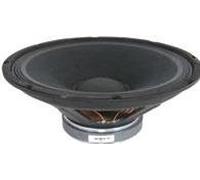Qtx 25,4 cm driver per QR10 speaker cabinet