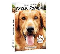 Qua la zampa 2. Un amico è per sempre (DVD)