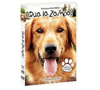 Qua La Zampa!