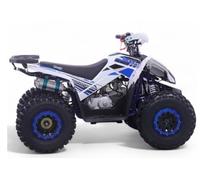 Quad 125CC Roan-Coyote Automatico R8-D-N-R, Blu, Carico massimo 120 kg (solo per circuiti chiusi) + 10 anni