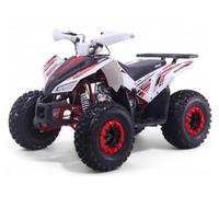 Quad 125CC Roan-Coyote Automatico R8-D-N-R, Rosso, Carico massimo 120 kg (solo per circuiti chiusi) + 10 anni