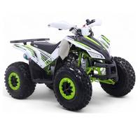 Quad 125CC Roan-Coyote Automatico R8-D-N-R, Verde, Carico massimo 120 kg (solo per circuiti chiusi) + 10 anni