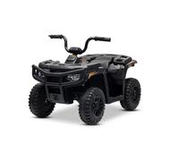 Quad elettrico a marchio Arctic Cat 12V, con trazione posteriore, nero, luci LED, batteria al litio, 2 motori da 25W