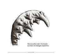 Quaderni di zoologia imperfetta. Francesco Massaro & Bestiario. Con QR Code