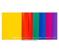 QUADERNI MAXI QUADRETTI 0,5 MM. CON MARGINE Q TINTA UNITA - 10 PEZZI ASSORTITI