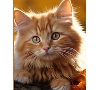 Quaderno a righe A4 - Gatto: Copertina Lucida | Quadernone a righe con margine A4 | 150 pagine | Sfondo animale | Gatto | ottima Carta bianca | 7,5 x ... | Quaderno per scuola , ufficio , appunti
