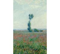Quaderno a righe Claude Monet Campo di Papaveri 5mm appunti A5 tascabile scrivere colorare università entrate uscite ricette business password italiano A4